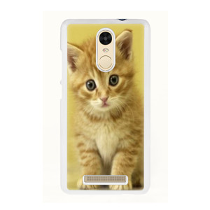 Cat Case Casing HP