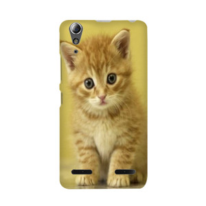 Cat Case Casing HP