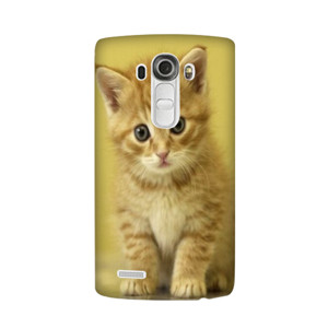 Cat Case Casing HP