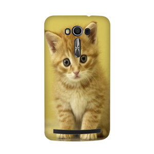 Cat Case Casing HP