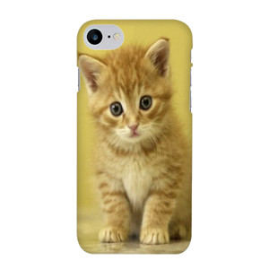 Cat Case Casing HP