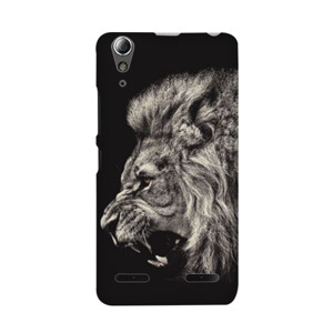 Lion Casing HP