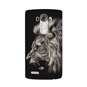 Lion Casing HP