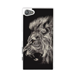 Lion Casing HP