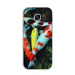 THE WORLD OF FISH Casing HP