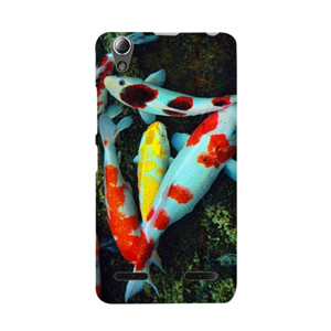 THE WORLD OF FISH Casing HP