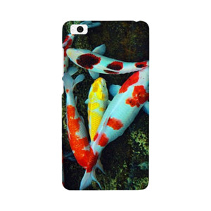 THE WORLD OF FISH Casing HP