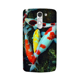 THE WORLD OF FISH Casing HP