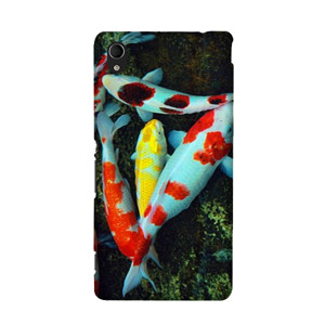 THE WORLD OF FISH Casing HP