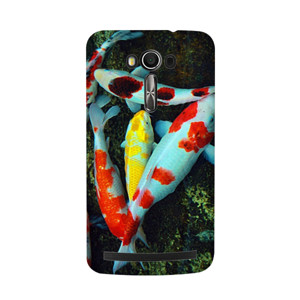 THE WORLD OF FISH Casing HP