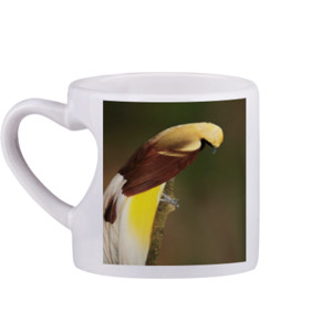 Mug Lesser Bird of Paradise