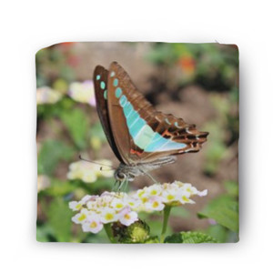 Sarung Bantal Blue-Brown Butterfly