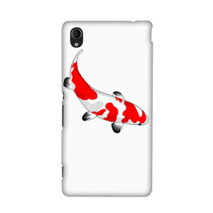 Koi japan limited Casing HP