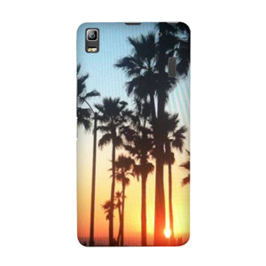 Cali Palms Casing HP