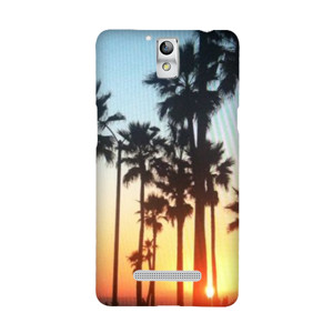 Cali Palms Casing HP