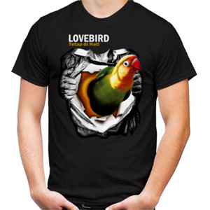 Kaos Lovebird