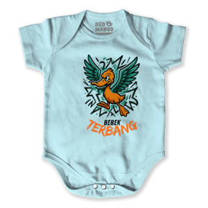 Baby Jumper Bebek terbang