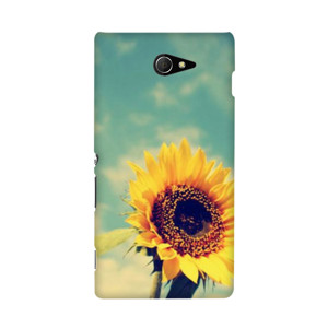 Sunflower Shine Casing HP