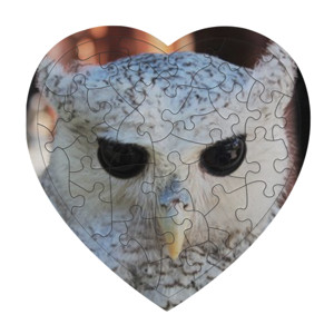 Puzzle White Owl