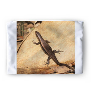 Sarung Bantal Lizard