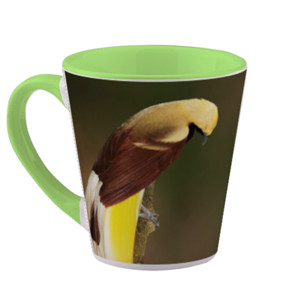 Mug Lesser Bird of Paradise