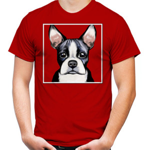 Kaos Boston Terrier Poster