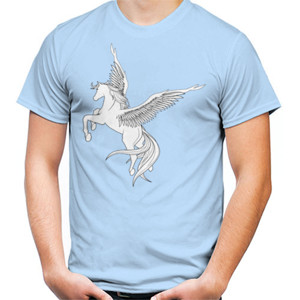Kaos Pegasus