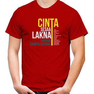 Kaos Cinta Sesaat
