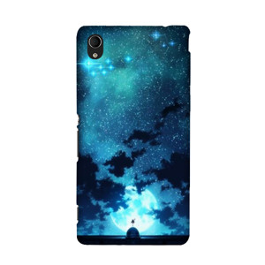 Hoshi Sora  Casing HP