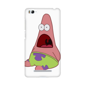 Case Petrik Casing HP