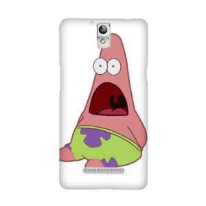 Case Petrik Casing HP