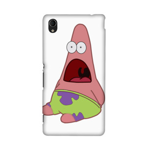 Case Petrik Casing HP