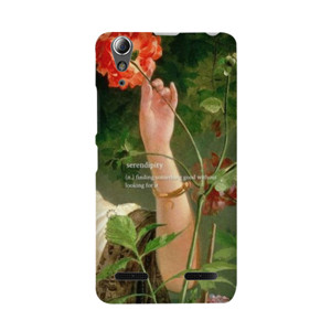 Serendipity Casing HP