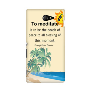 peace in this moment Casing HP