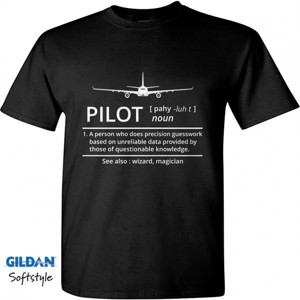 Kaos pilot (noun)