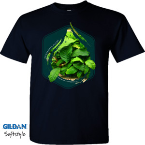 Kaos Anubias Coffeefolia