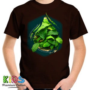 Kaos Anubias Coffeefolia