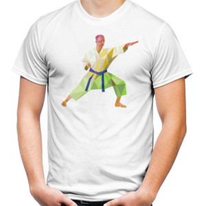 Kaos Karate Polygon