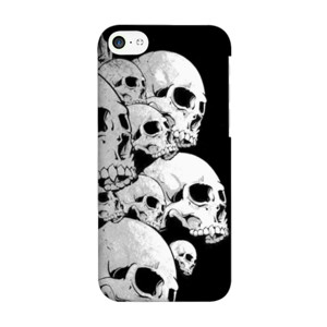 skull Casing HP