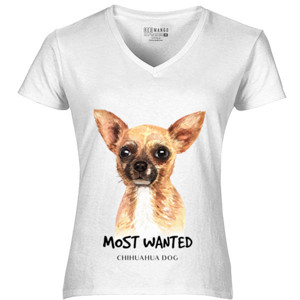 Kaos Chihuahua dog most wanted
