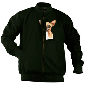 Jaket Bomber Chihuahua dog most wanted