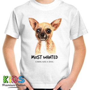 Kaos Chihuahua dog most wanted