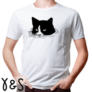 Kaos cat water