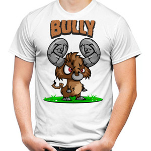 Kaos Bully