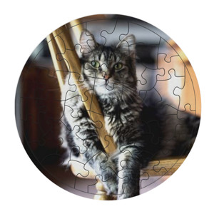 Puzzle Kucing