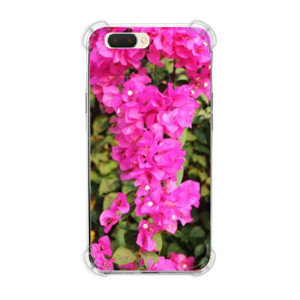 Casing HP Bougenville 