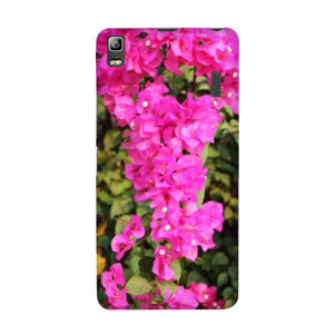 Bougenville  Casing HP