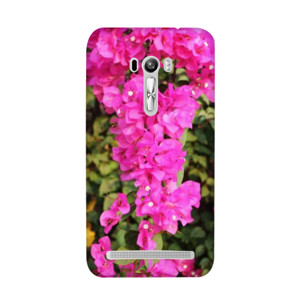 Bougenville  Casing HP