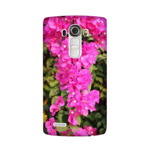 Bougenville  Casing HP