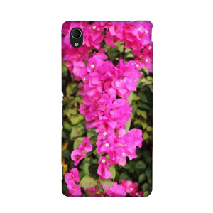 Bougenville  Casing HP